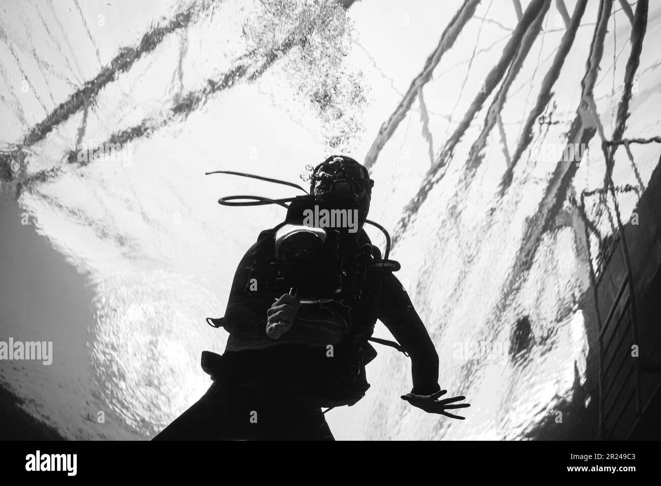 acquario subacqueo Foto Stock