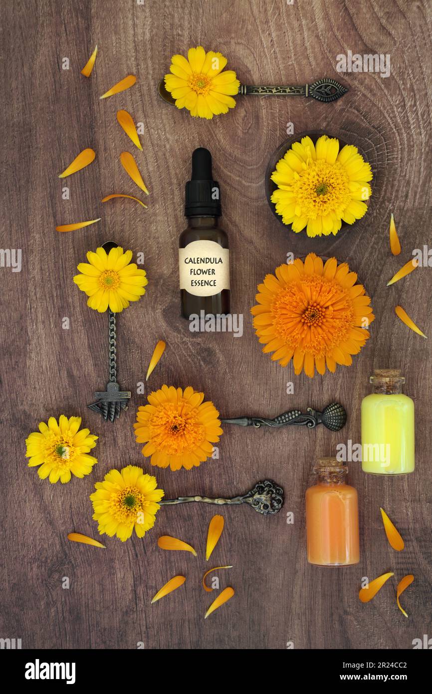 Calendula fiori per rimedi naturopatici curativi per la cura della pelle. Preparazione naturale per trattamenti cosmetici per ferite, psoriasi, eczema, acne. Foto Stock