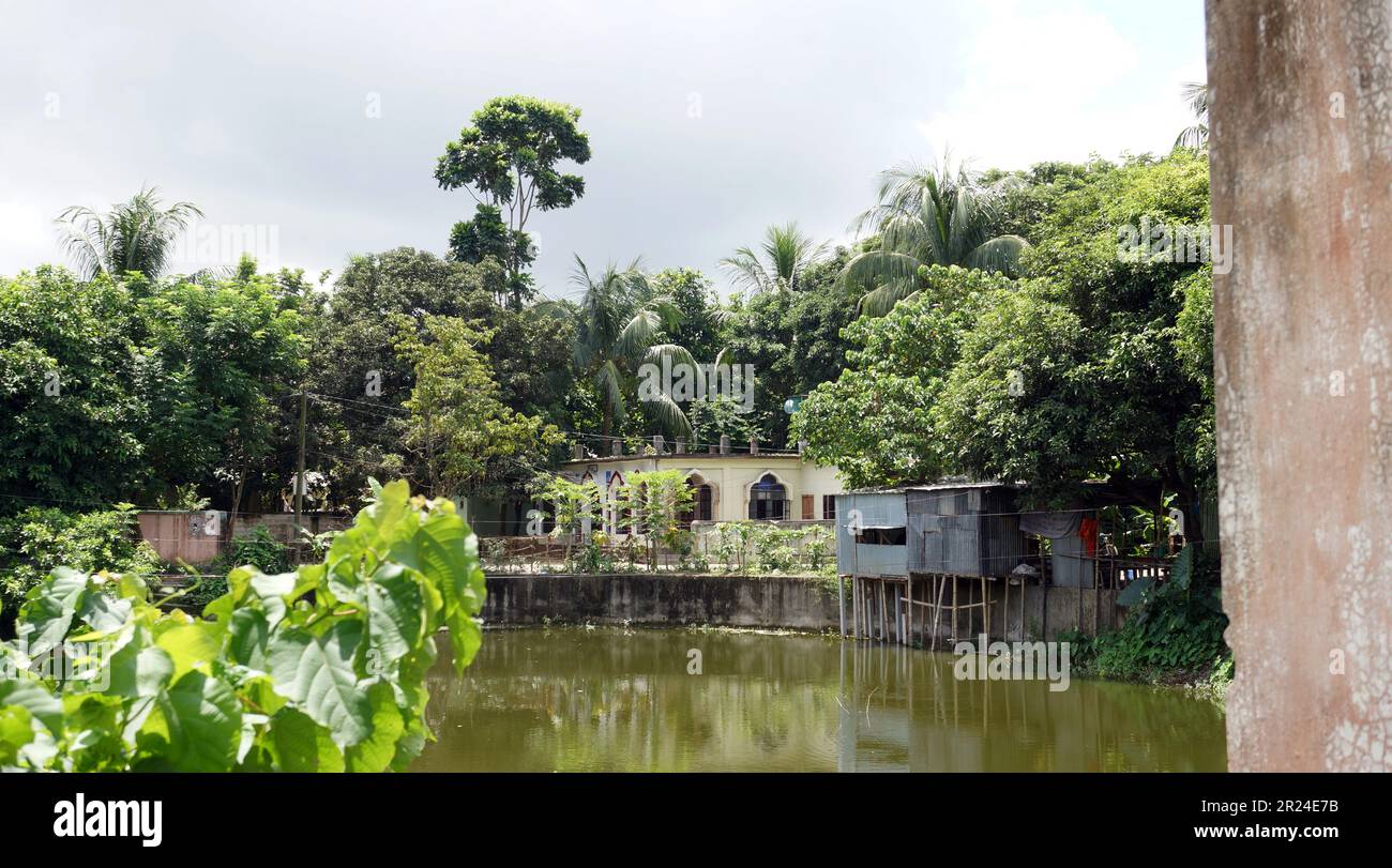 Una vista sul fiume su una piccola dimora sulla riva, all'interno di una foresta tropicale. Vicino a Panam, BANGLADESH. Häuser am Flussufer in den Tropen. Foto Stock