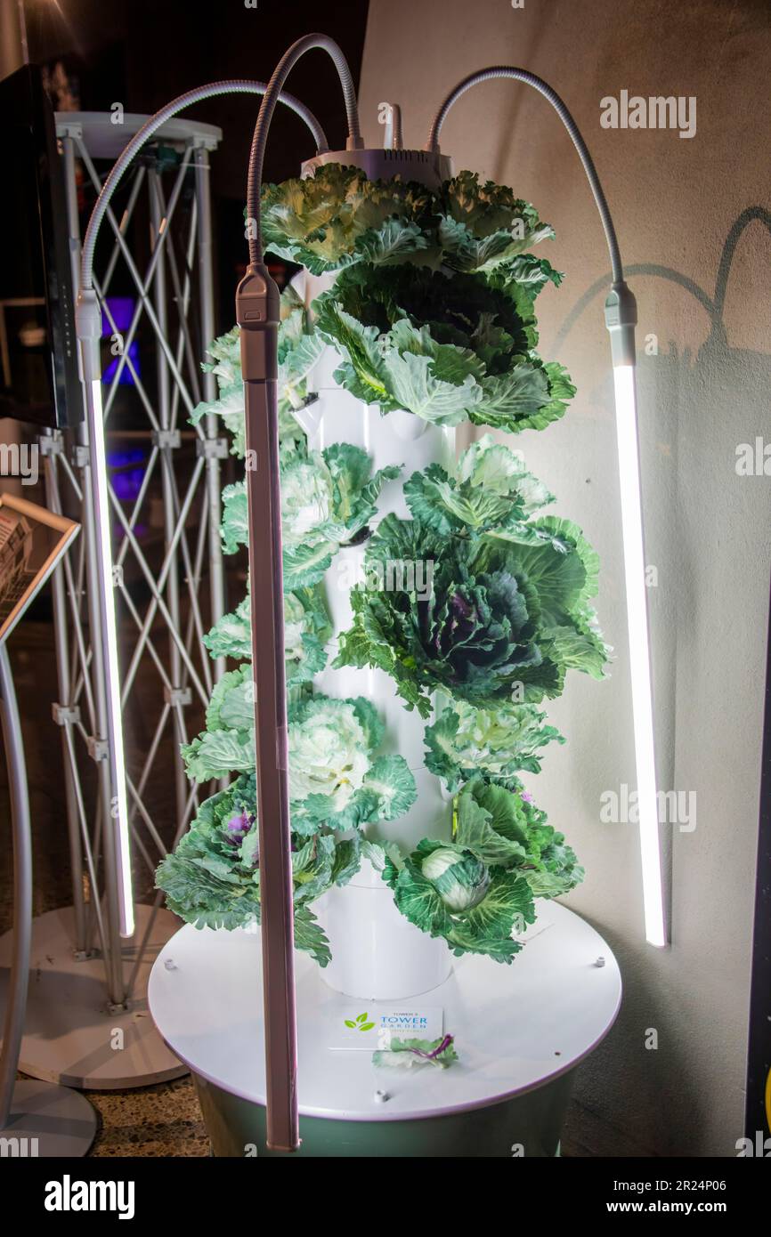 Huntsville USA 10 febbraio 2023: Il concetto di coltivare piante fuori terra negli Stati Uniti Space Rocket Center. un museo che mostra razzi e traguardi raggiunti Foto Stock