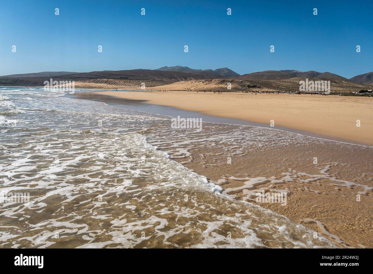 Playa de Sotavento de Jandía, Sandstrand, Surfer, Wellen, Kanarische Inseln, Spagnolo, Foto Stock