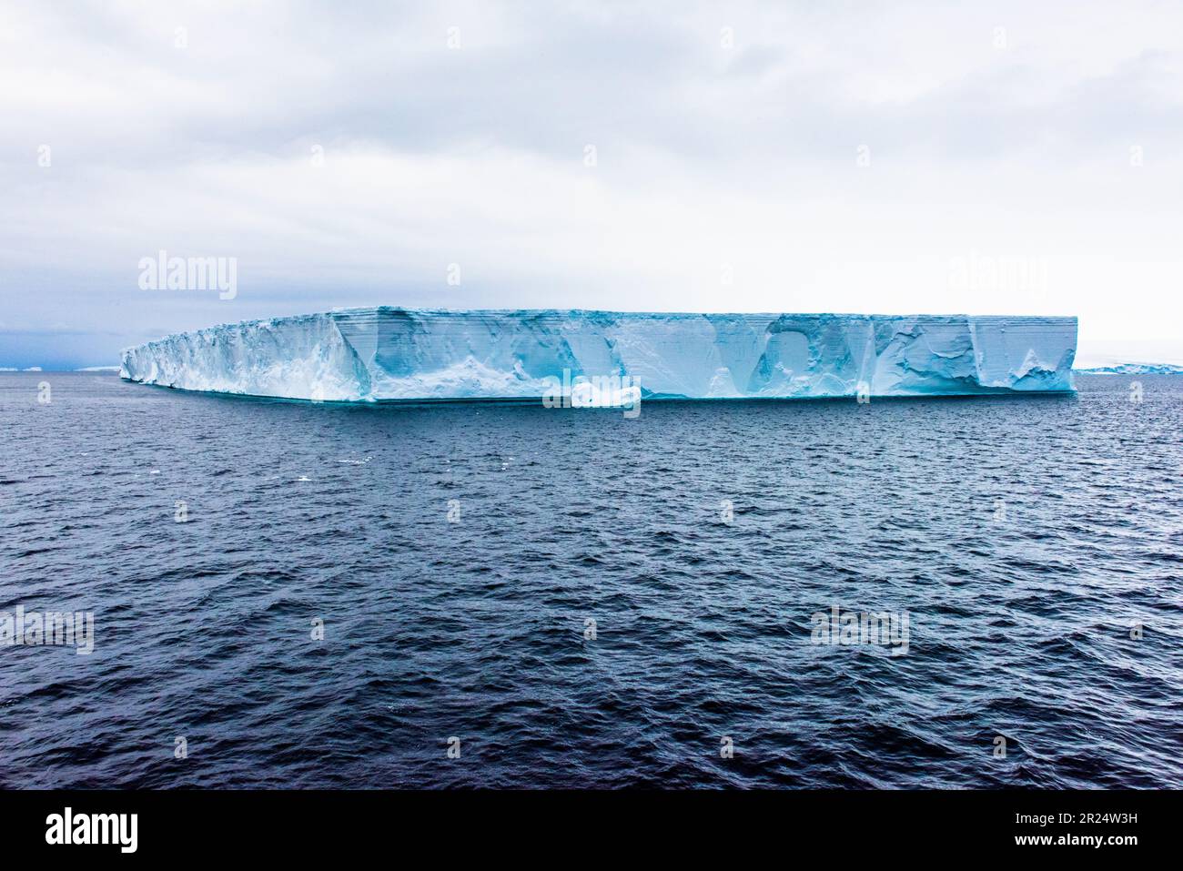 Brown Bluff, Antartide. Un grande iceberg nel suono antartico. Foto Stock
