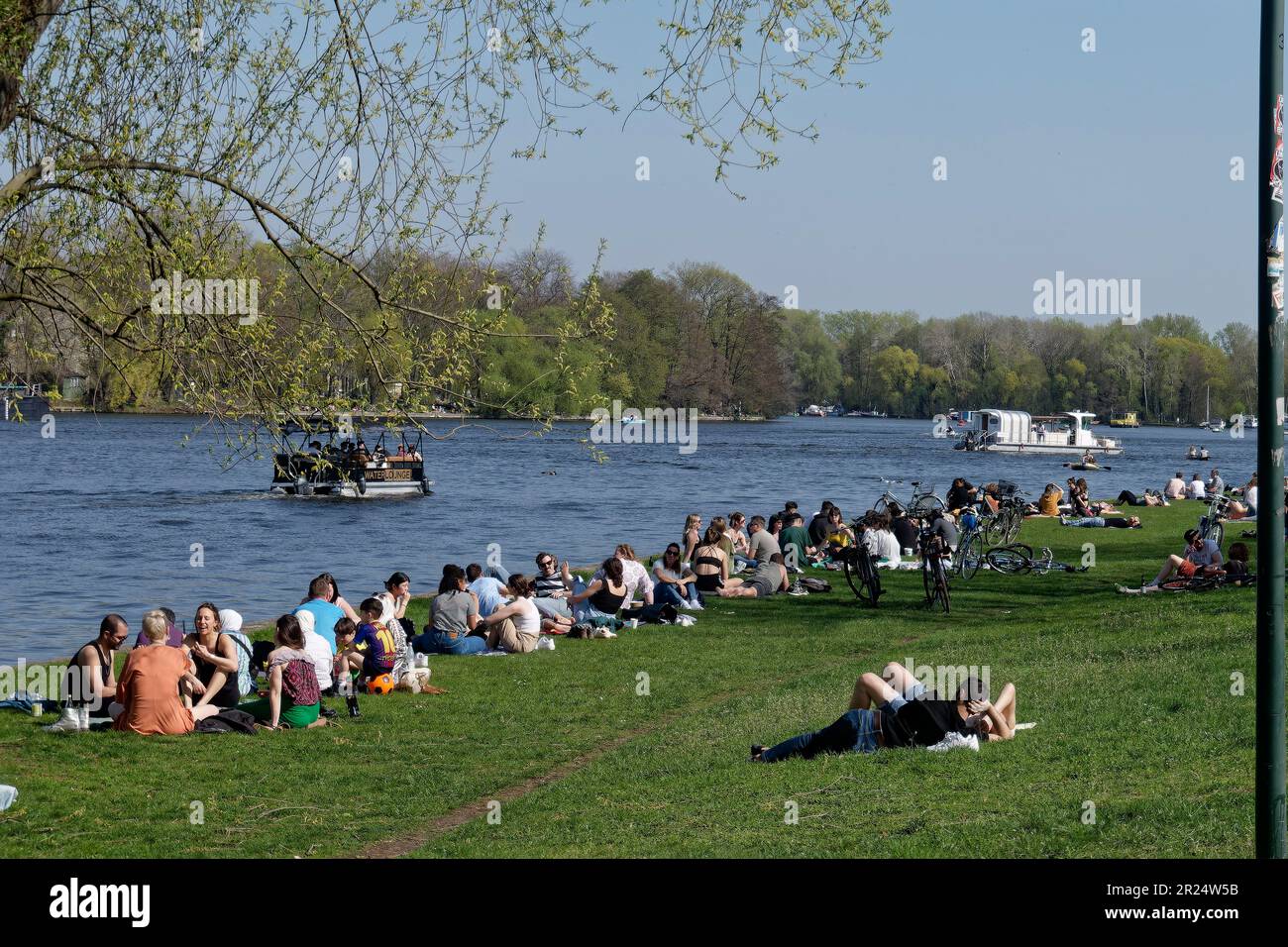 Frühling a Berlino, Liegewiese im Treptower Park am Spreeufer, Treptow-Köpenik , Berlino Foto Stock