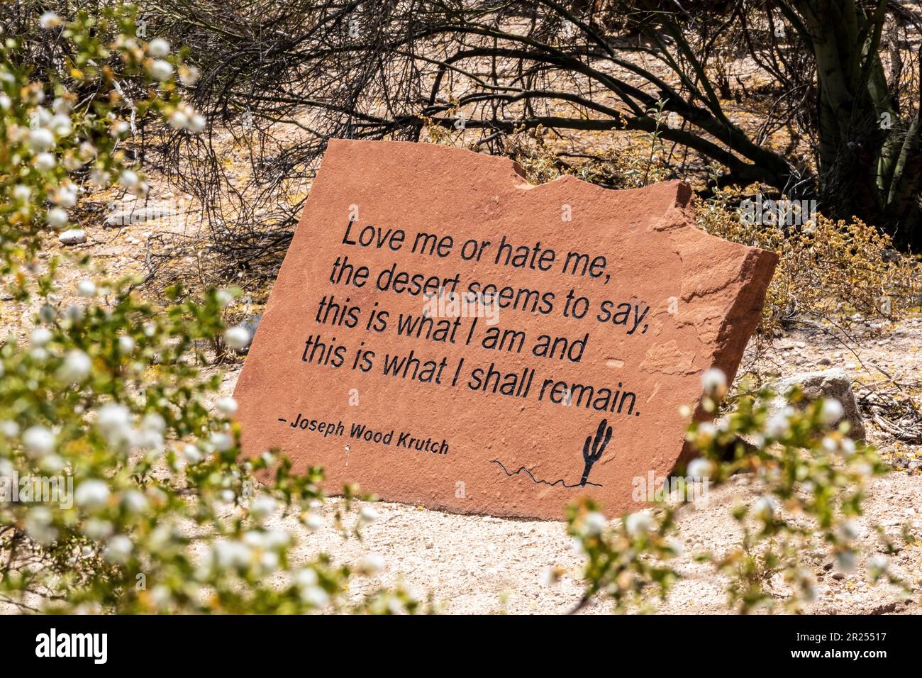 Citazione di Joseph Wood Krutch sul deserto, 'mi ama o odio, il deserto sembra dire, questo è ciò che sono e questo ciò che resterò.' Foto Stock