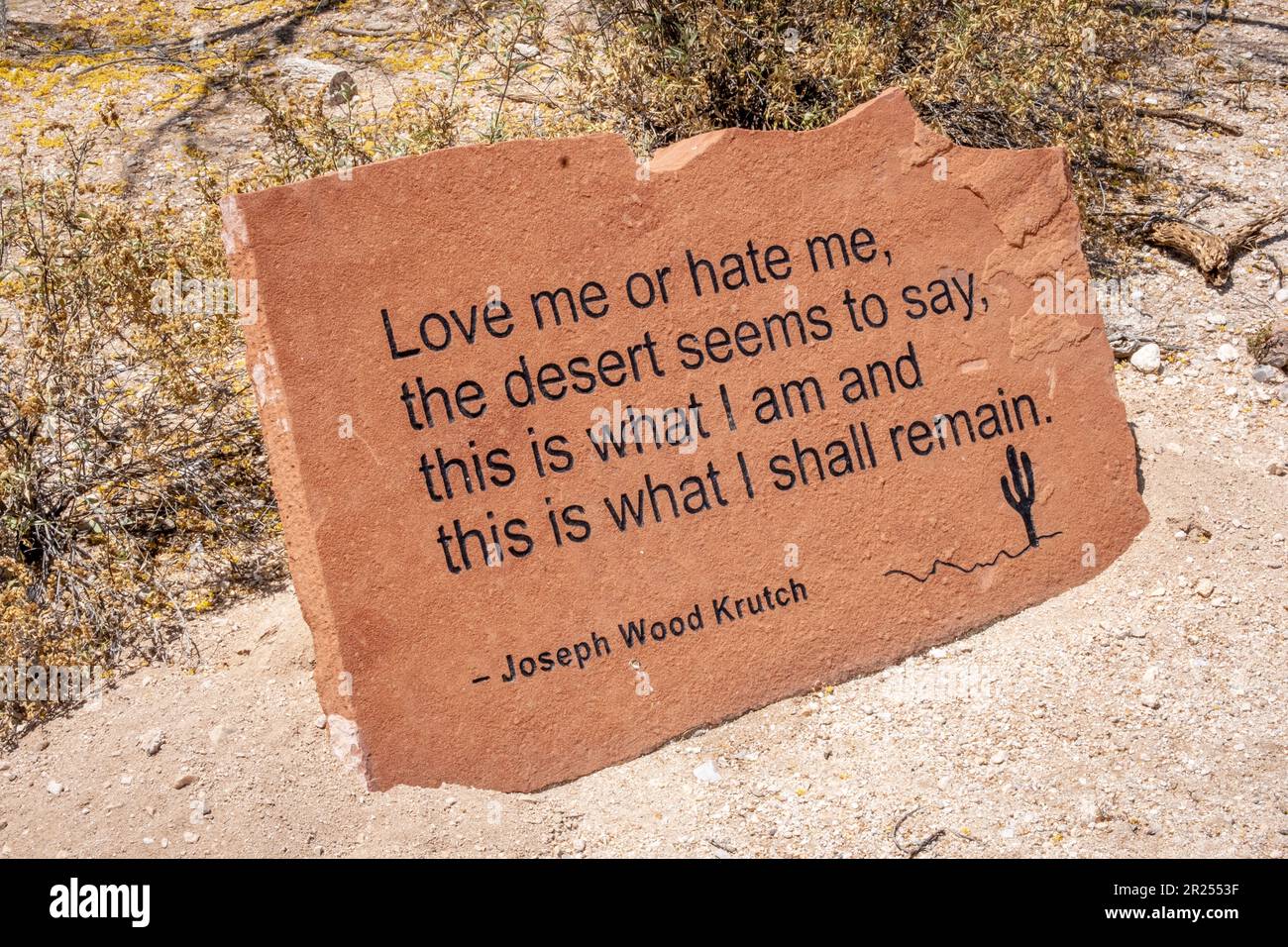 Citazione di Joseph Wood Krutch sul deserto, 'mi ama o odio, il deserto sembra dire, questo è ciò che sono e questo ciò che resterò.' Foto Stock