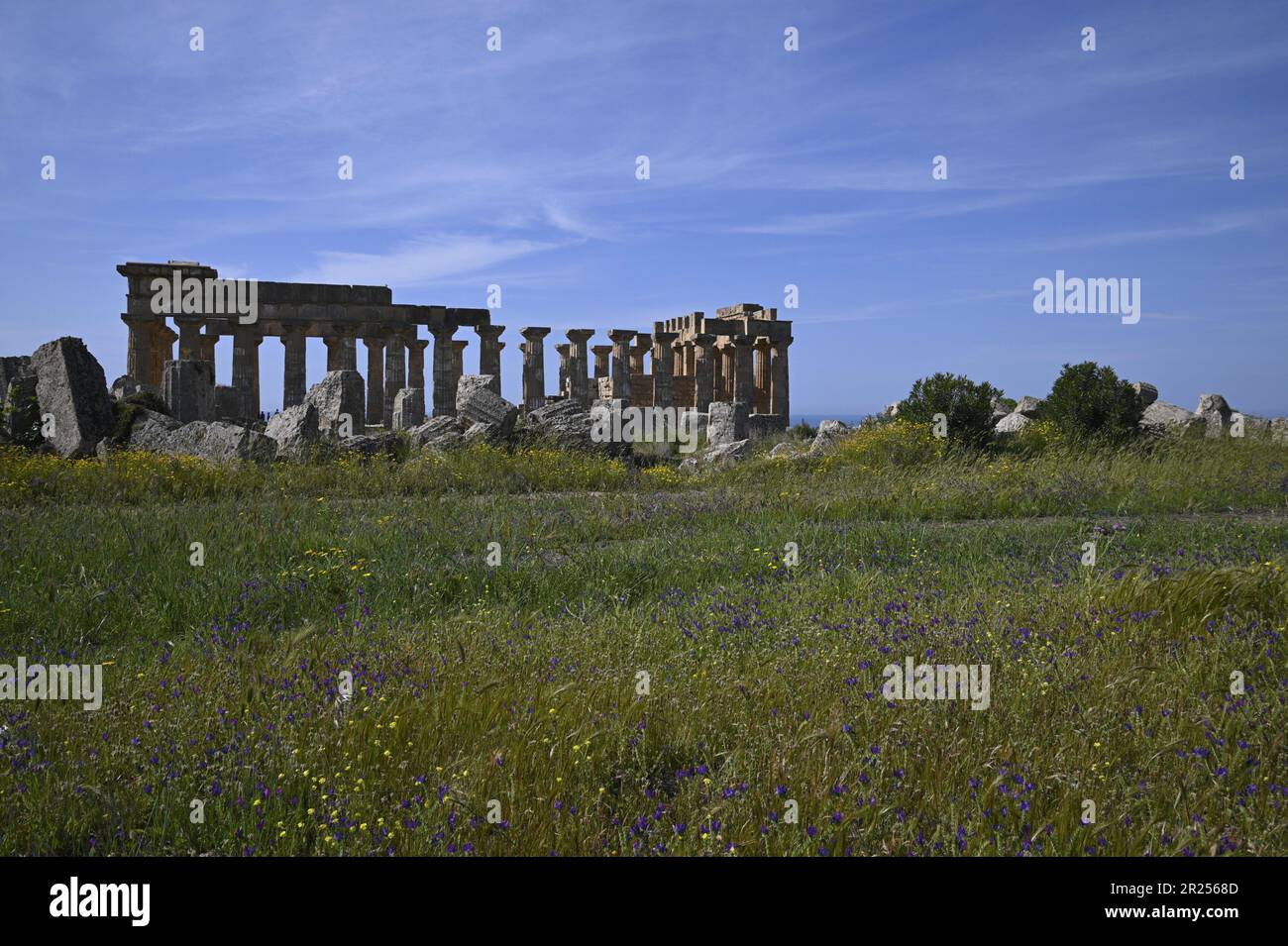 Paesaggio con vista panoramica dei templi dell'ordine dorico F ed e presso  il sito archeologico di Selinunte a Trapani Sicilia Foto stock - Alamy