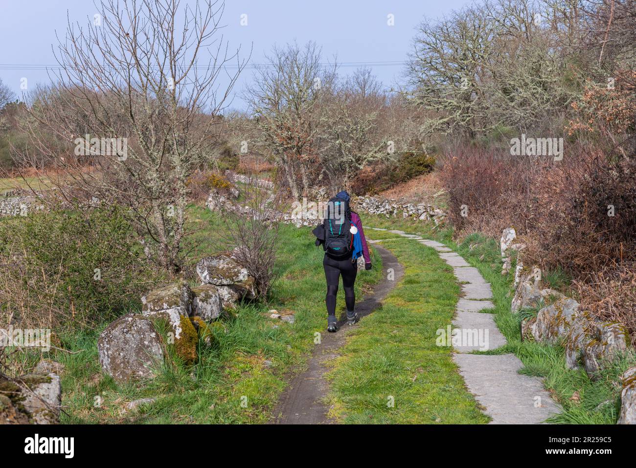 Navarra, Spagna, 04 dicembre, 2022: Passeggiata pellegrina lungo il Camino De Santiago, la Via San Itinerario di pellegrinaggio di James, Navarra, Spagna. Foto Stock