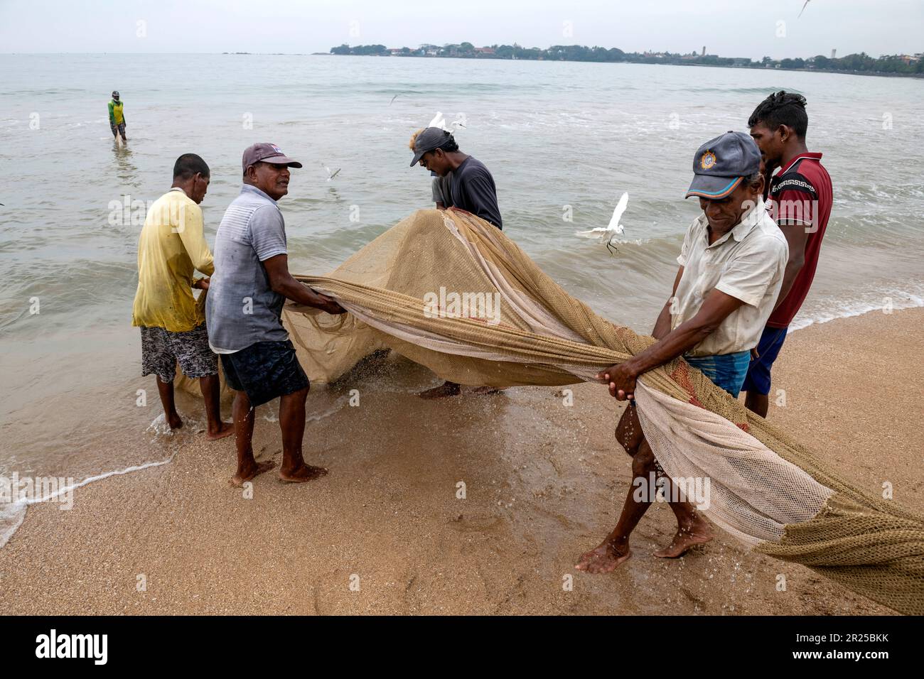 Sri Lanka, Provincia meridionale, Sud, Süd, Sud, ville, Staadt, città, Galle, Pêcheur, Pêcheurs, Fischer, pescatore, pescatori, Filet de pêche, FIS Foto Stock