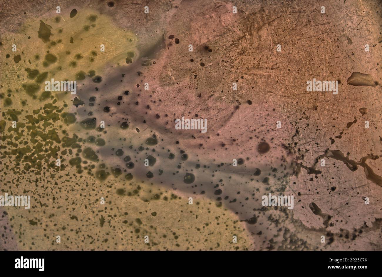 11th maggio, 2023. Immagini concettuali di estuari di fiume, o forse grasso , un dispersore, o esperimenti biologici. Forse un'applicazione ai Foto Stock