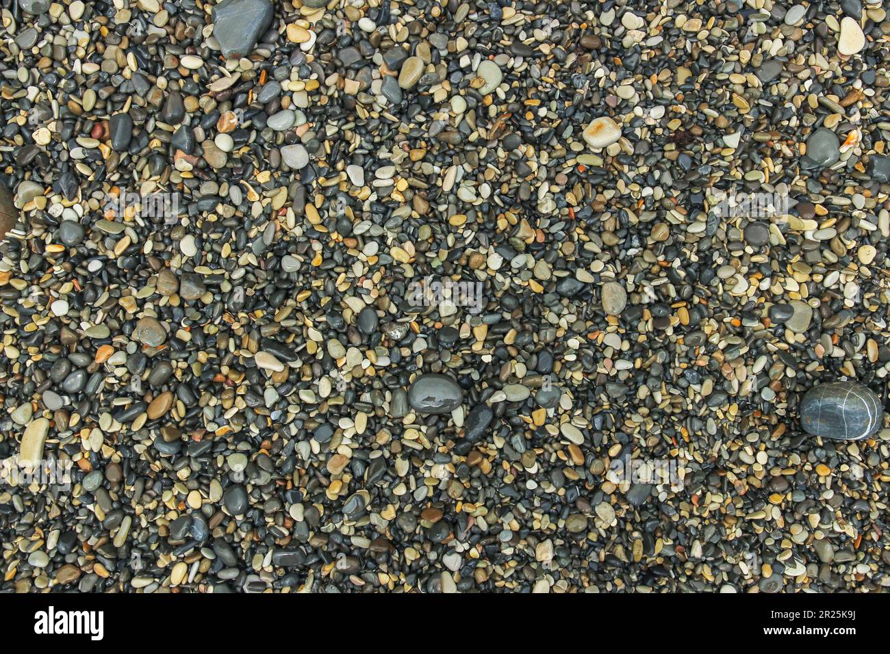 Pietre bagnate su una spiaggia di ciottoli come sfondo Foto Stock