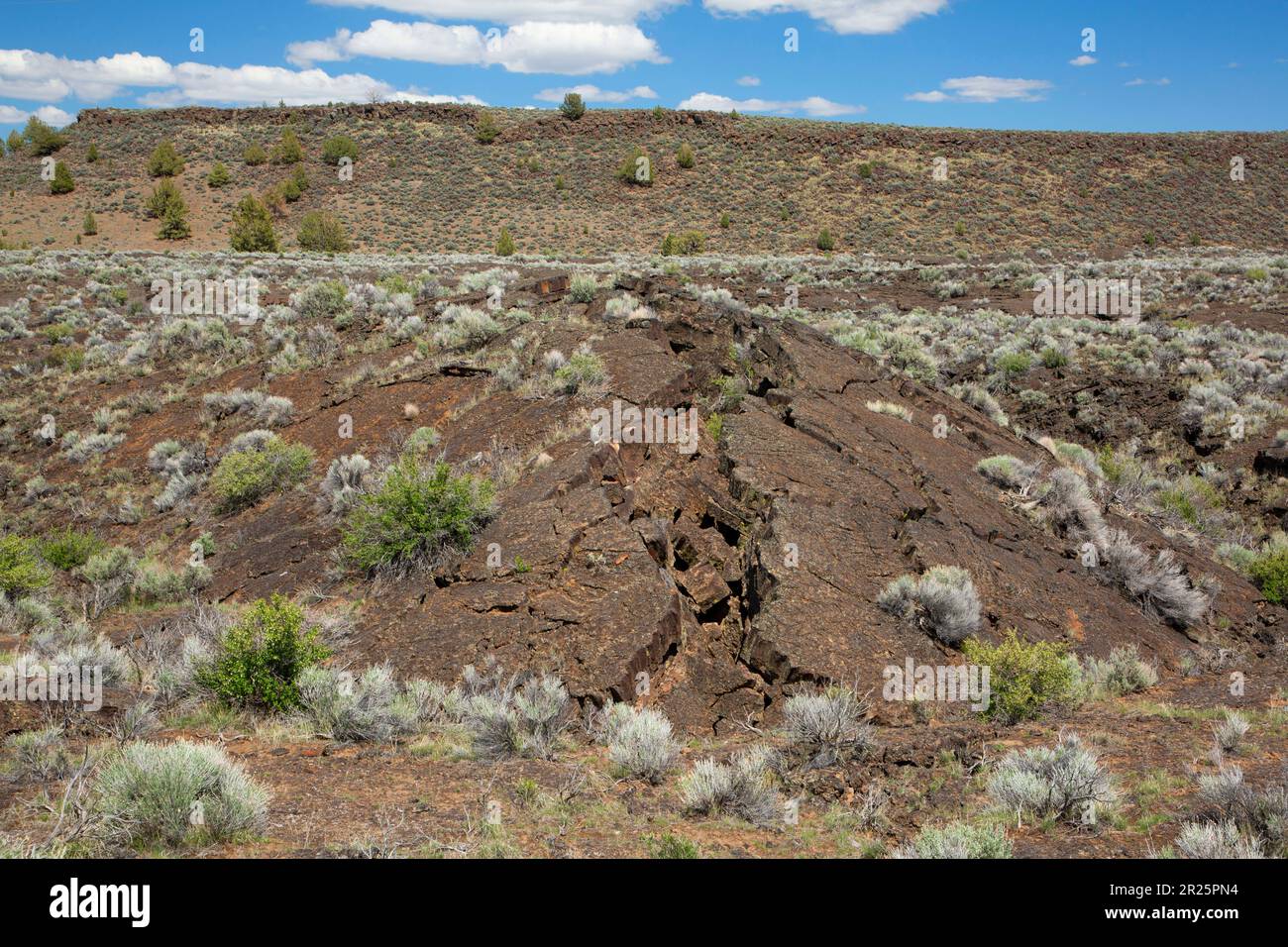 Lava Flow, Diamond Craters Outstanding Natural Area, Diamond Loop National Scenic Byway, Burns District Bureau of Land Management, Oregon Foto Stock