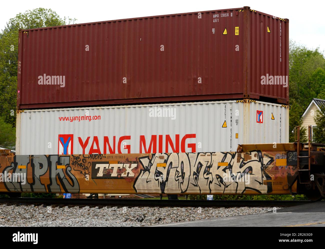 I contenitori di spedizione appartenenti alla Yang Ming Transport Corporation di Taiwan sono tra i contenitori trainati da un treno Norfolk Southern Railway negli Stati Uniti. Foto Stock