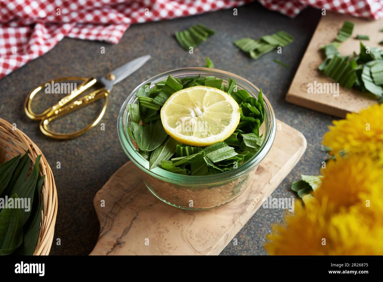 Vasetto di vetro riempito con foglie di piantina di riballe tritate, limone e zucchero per preparare sciroppo di erbe Foto Stock