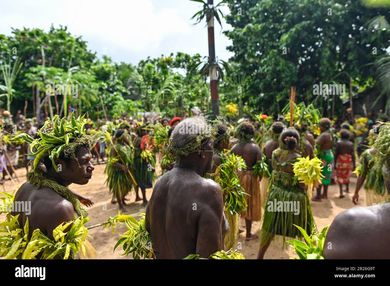 Le danze tradizionali delle popolazioni indigene sull'isola di Utupua nelle Isole Salomone sono ricche di significato culturale e spesso accompagnate da musica e movimenti ritmici. La Danza di benvenuto viene eseguita per accogliere ospiti o visitatori nella comunità. In genere è caratterizzato da costumi vibranti, movimenti gioiosi e espressioni di ospitalità e calore. Altri includono la danza di guerra, la danza di bambù o la danza del raccolto. Foto Stock