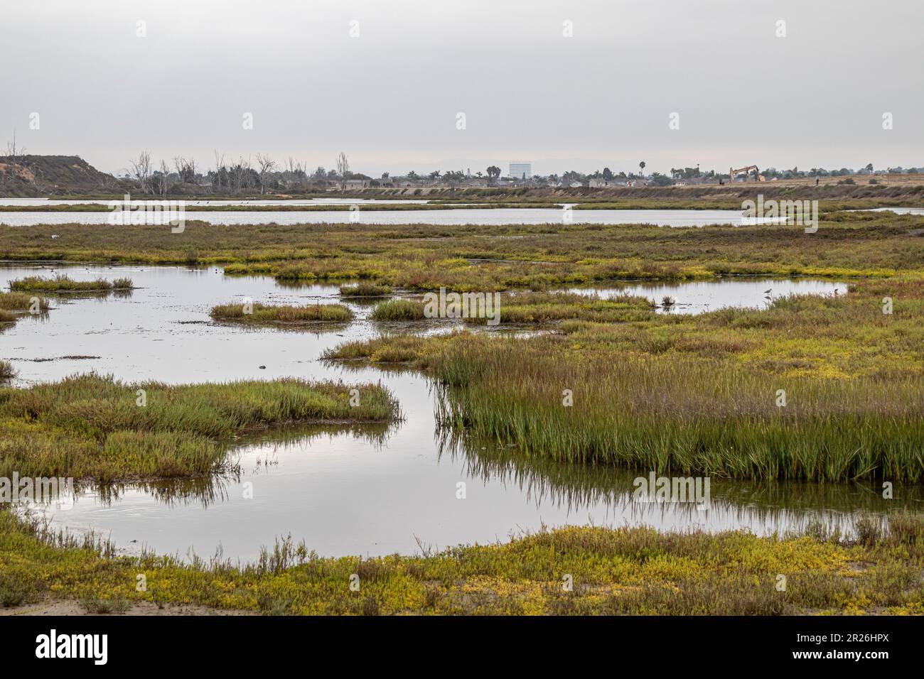 Riserva ecologica Bolsa Chica, Huntington Beach, Orange County, California Foto Stock