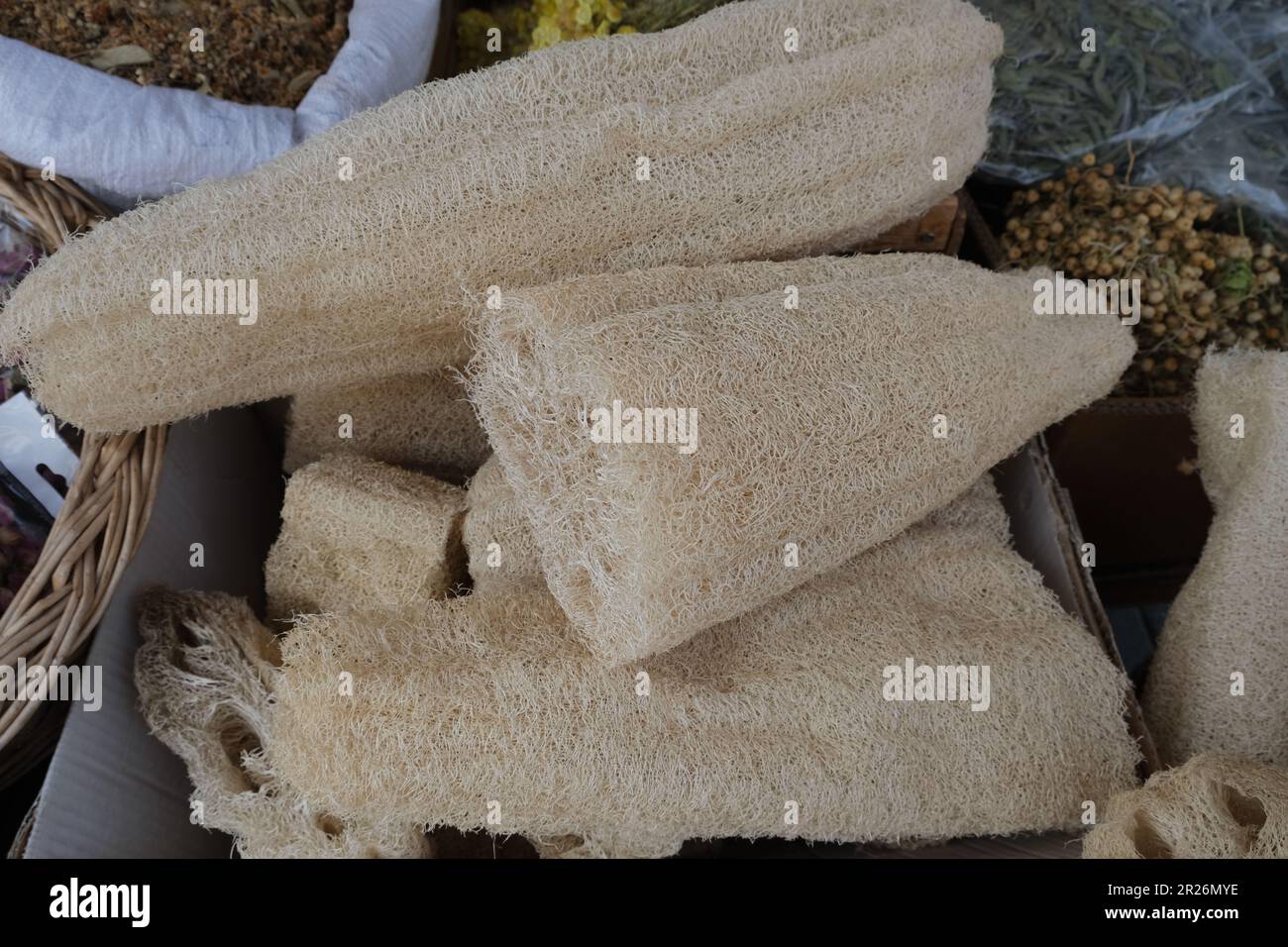 Luffa Loofah spugne al bazar. Stile di vita sostenibile, senza plastica, senza sprechi. Foto Stock