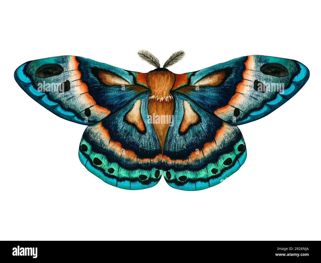 Acquerello blu verde chiaro isolato su sfondo bianco. Illustrazione dipinta a mano farfalla imperiale notturna. Insetto per il disegno di cancelleria, posta Foto Stock