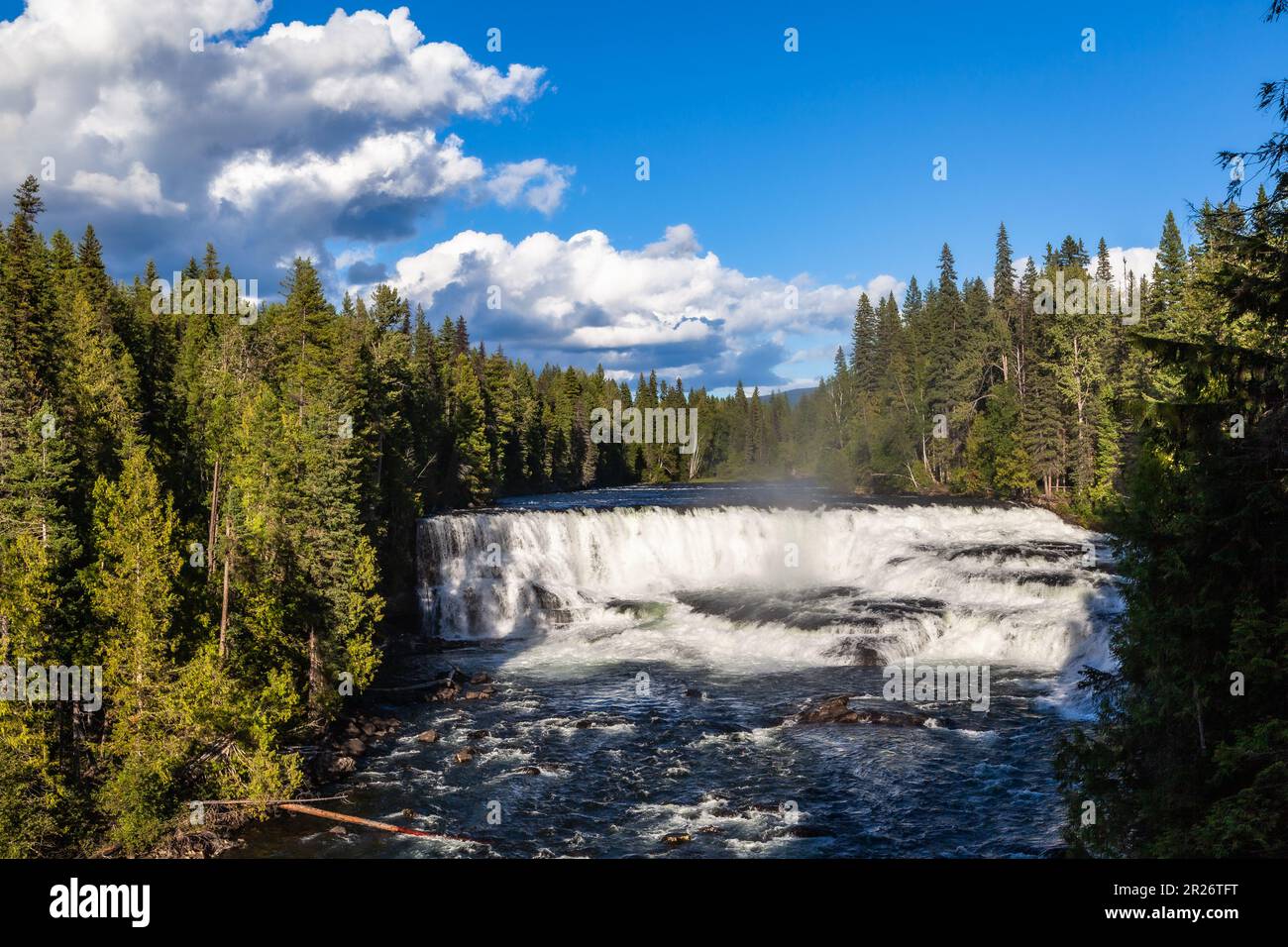 Ampia cascata frontale, grande cascata di schiuma nel fiume Murtle tra foreste di abete rosso. Helmcken Falls è una cascata di 141 m (463 piedi) sulla Murtle Foto Stock