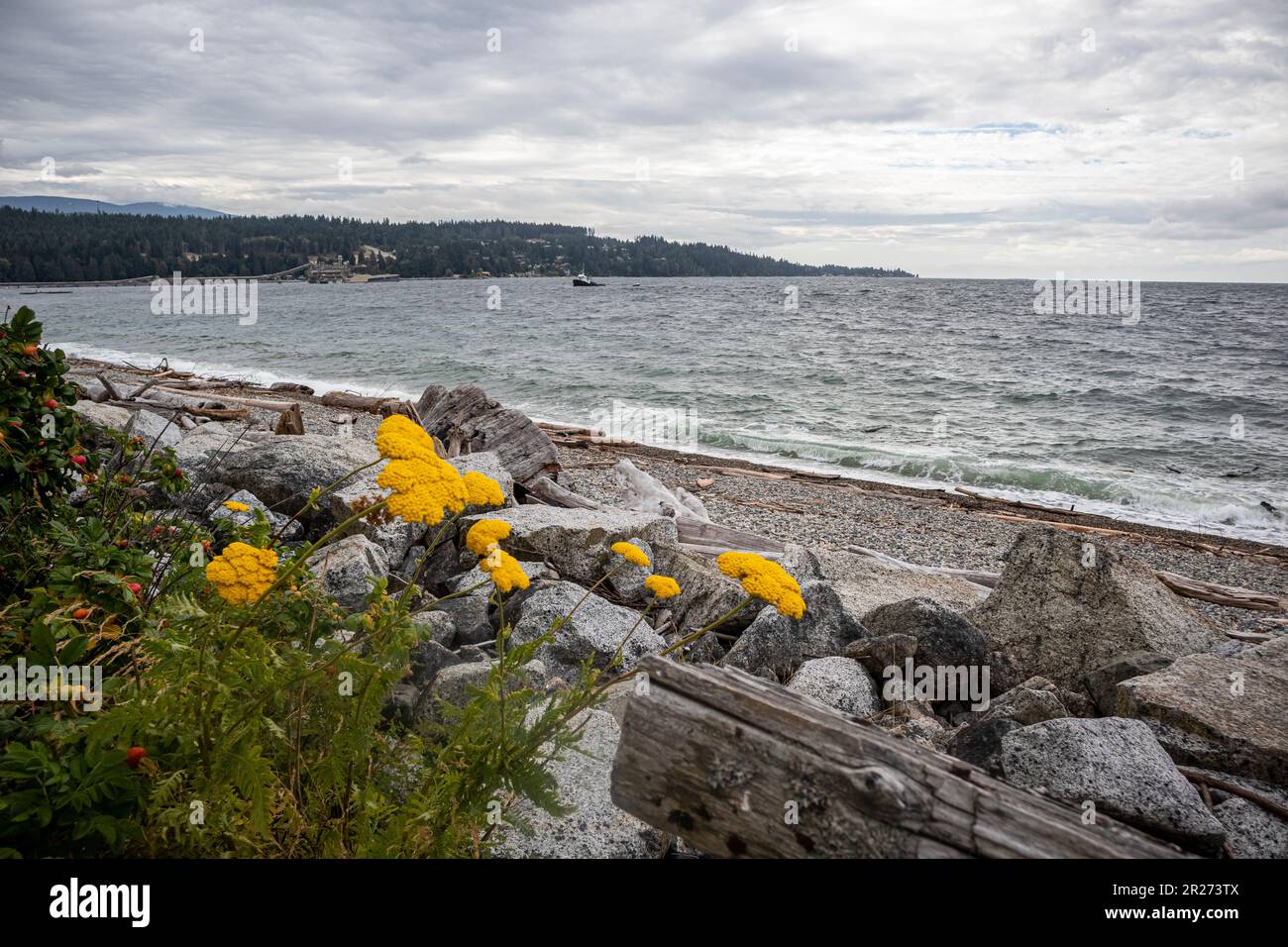 Sechelt, Sunshine Coast, British Columbia, Canada Foto Stock