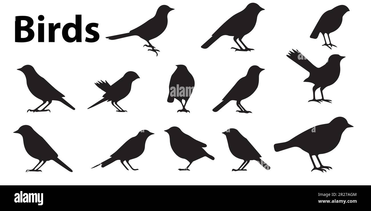 Una serie di illustrazioni vettoriali per la silhouette di un uccello. Illustrazione Vettoriale