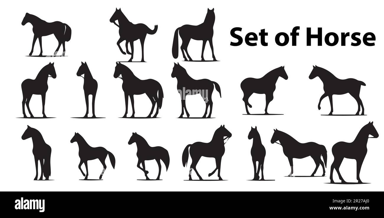 Una serie di silhouette di cavalli e uno sfondo bianco e nero. Illustrazione Vettoriale