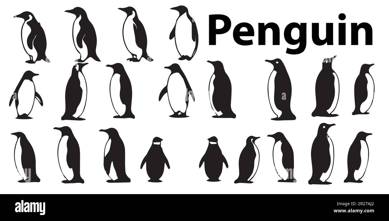 Un gruppo di pinguini silhouette vettore set. Illustrazione Vettoriale