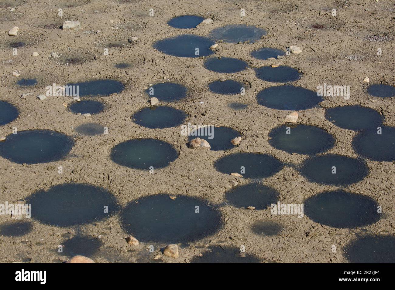 Buchi di nido fatti dalla tilapia dove i pesci posero le loro uova, in un allevamento di pesci nella valle di Beit She'an, nel nord di Israele Foto Stock