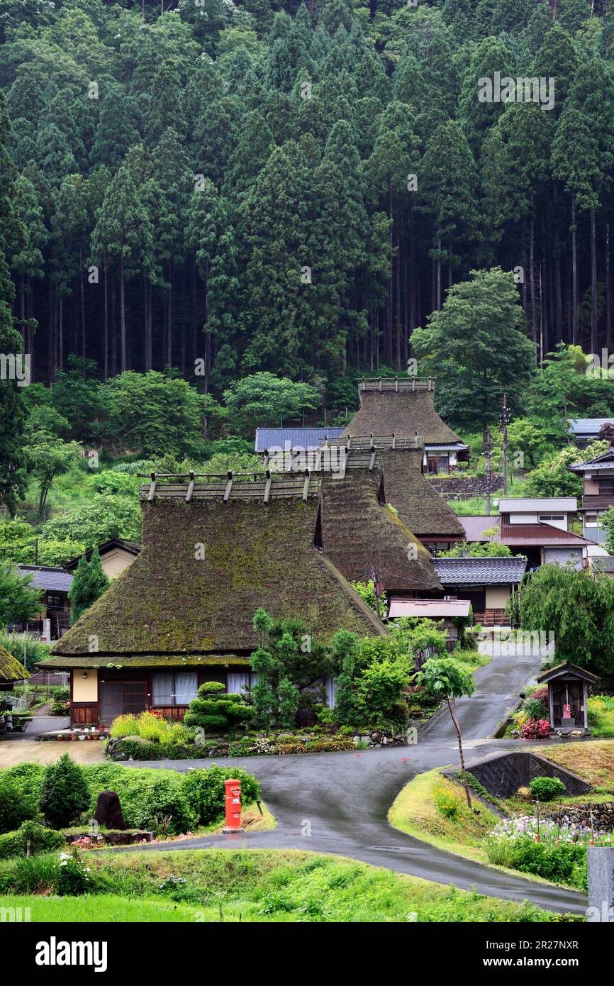 Villaggio di case coloniche con tetto di paglia a Miyama in verde fresco Foto Stock