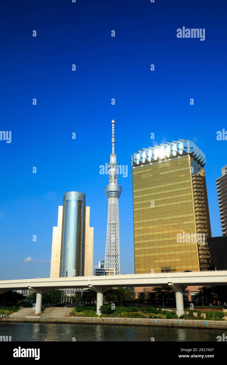 Tokyo Sky Tree Foto Stock