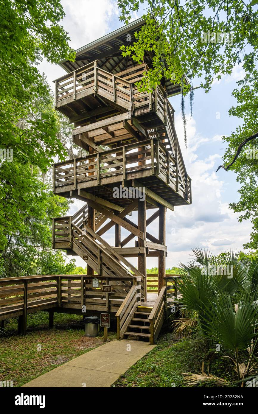 Alachua Savannah Observation Tower presso il Paynes Prairie Preserve state Park a Micanopy, Florida, vicino a Gainesville. (USA) Foto Stock