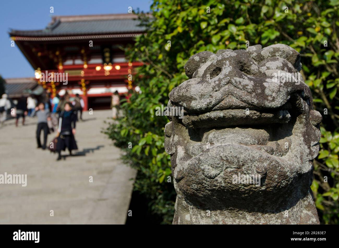 Kamakura Tsuruoka Hachiman santuario porta e statua di komainu Foto Stock