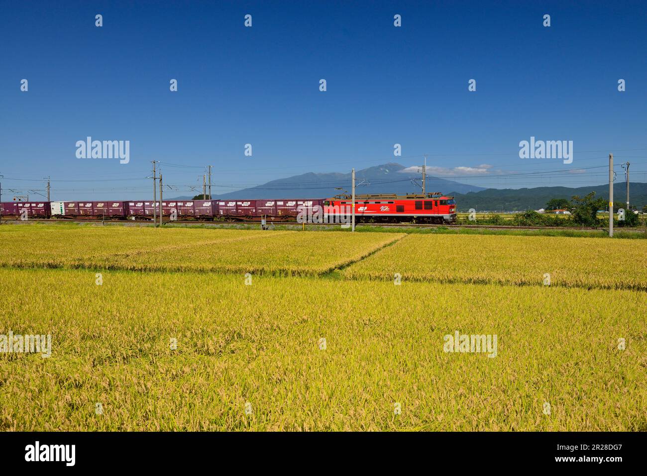 Vista del treno merci che corre sulla linea principale JR Uetsu, risaie e scorcio del Monte Chokaisan Foto Stock
