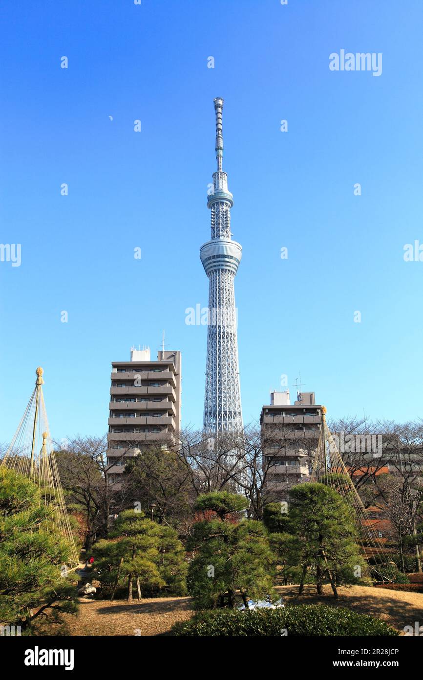 Tokyo Sky Tree visto dal Parco Sumida Foto Stock