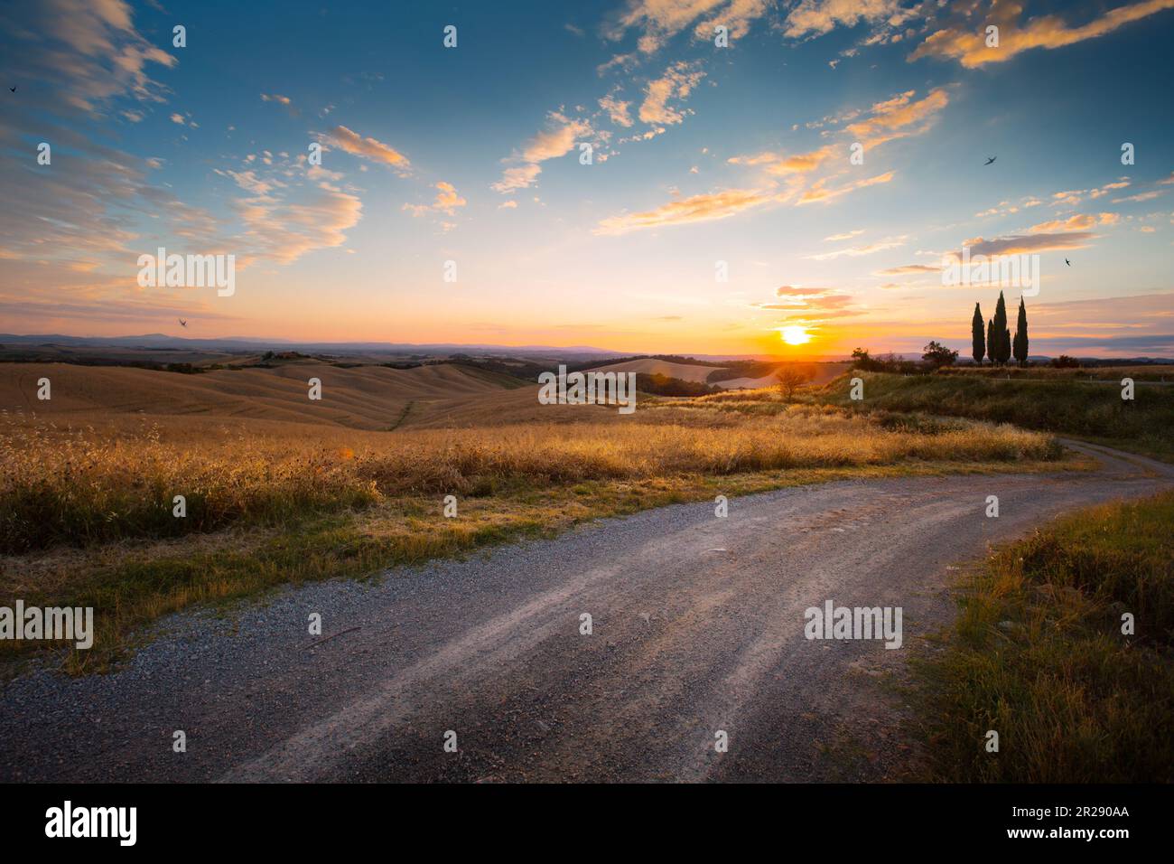 Splendidi e miracolosi colori dell'estate dorata d'Italia; panorama campagna; paesaggio al tramonto Foto Stock