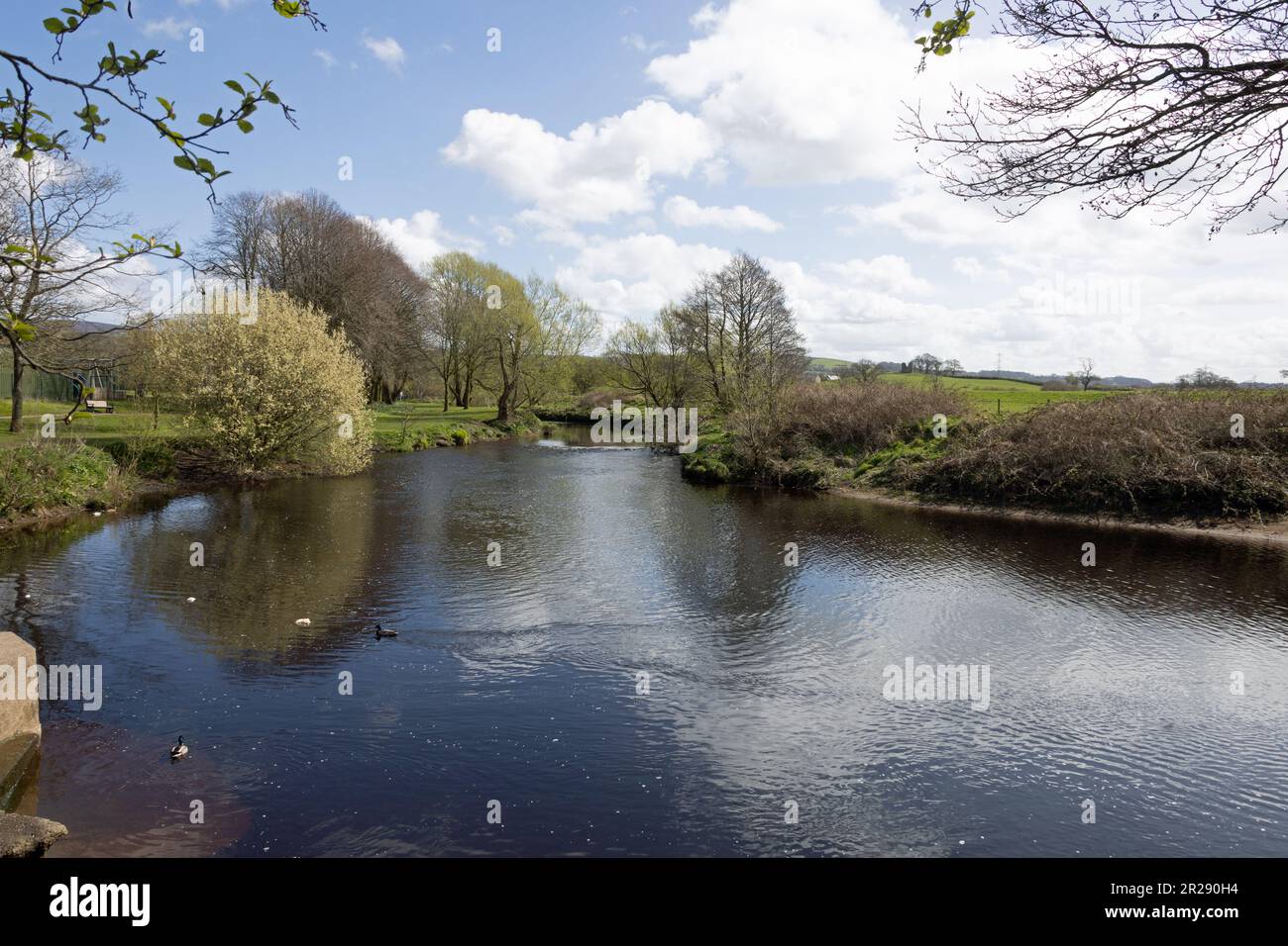 Il fiume Wyre che attraversa Garstang Lancashire Inghilterra Foto Stock