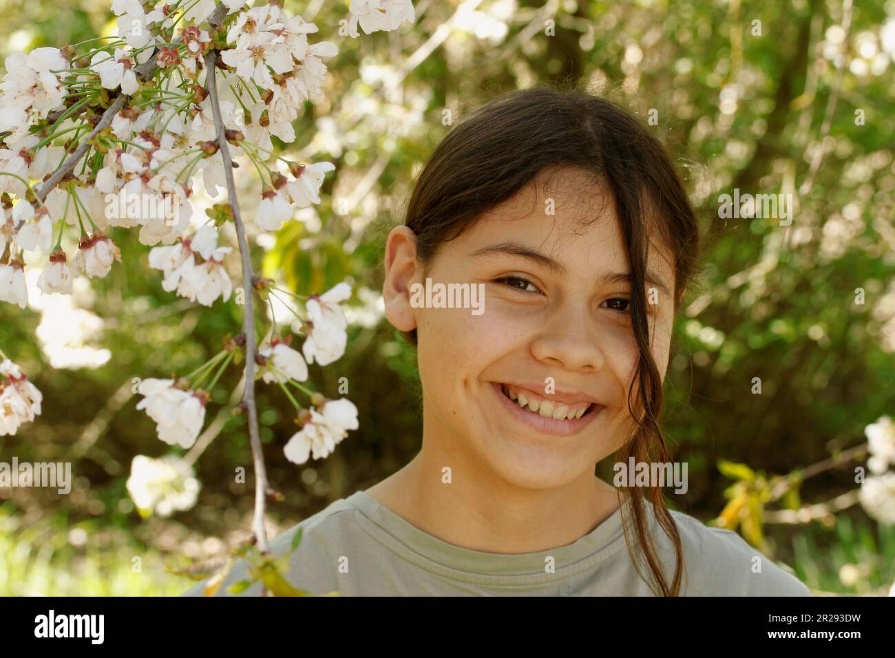 Ragazza sotto un albero di ciliegio fiorito. Foto Stock