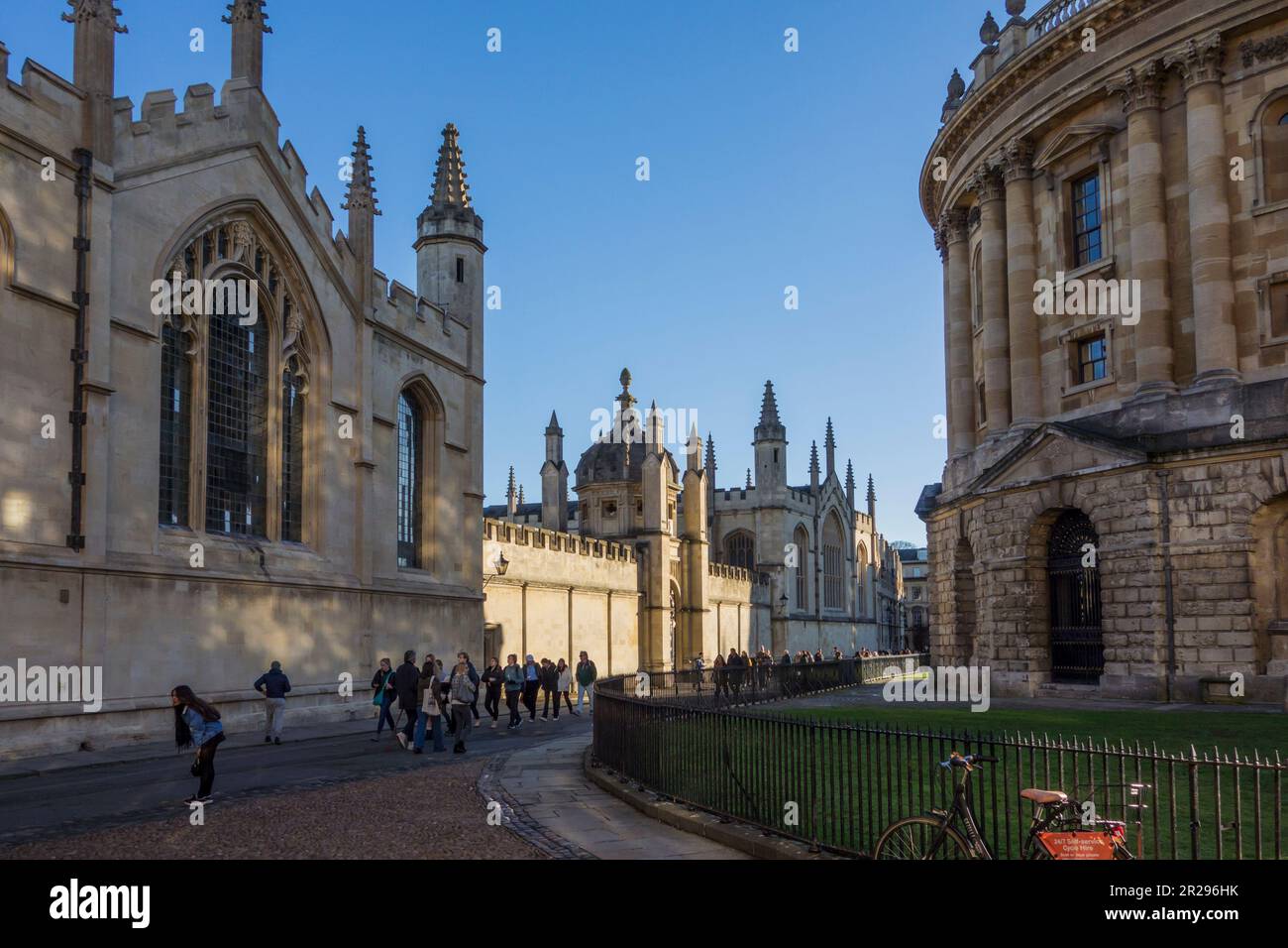 Radcliffe Camera & All Souls College, Oxford, Regno Unito Foto Stock