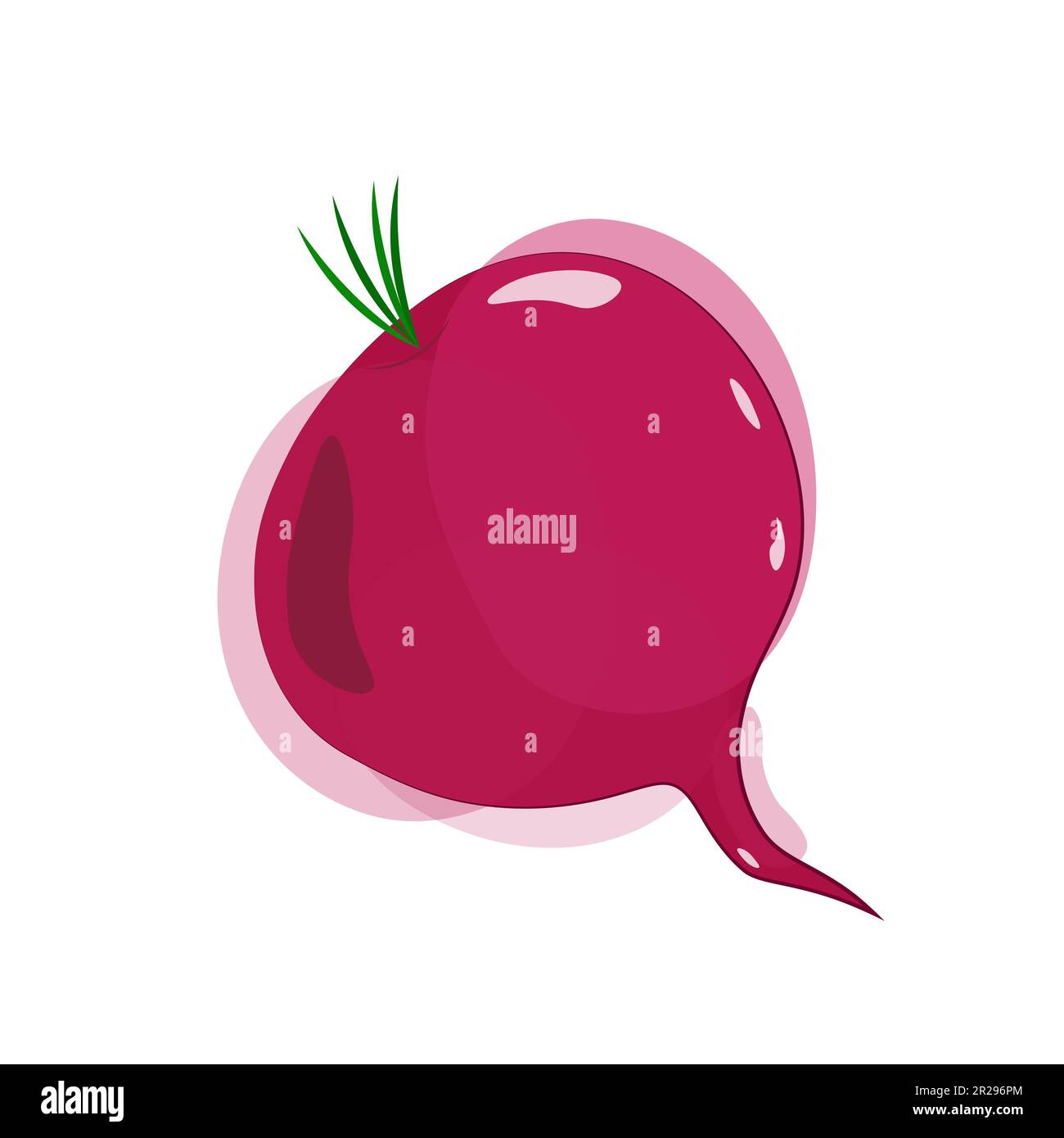 Barbabietole viola intere in stile acquerello con luci e ombre. Vettore. Isolato Illustrazione Vettoriale