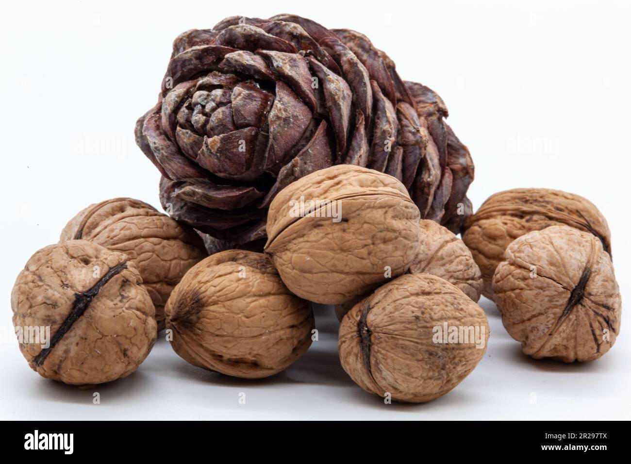 Manciata di noci testurizzate su fondo bianco e cono di pino marrone con noci all'interno su fondo bianco. Cibo sano. Foto di alta qualità. Isolato. Foto Stock
