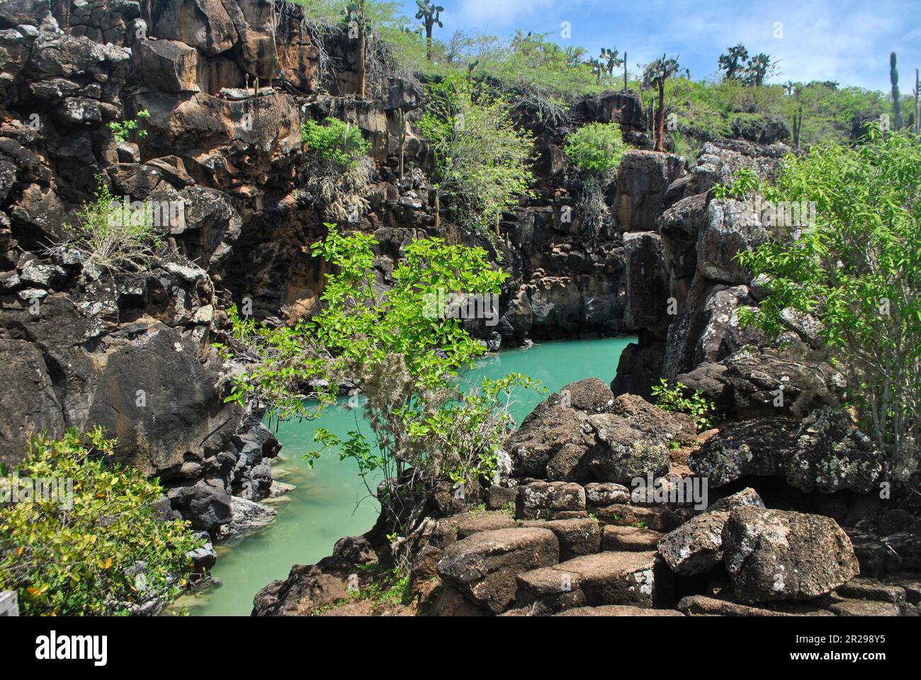 Canale dell'amore, conosciuto come Canal del Amor, un canale turchese, nell'isola di Santa Cruz. Isole Galapagos, Ecuador. Foto Stock