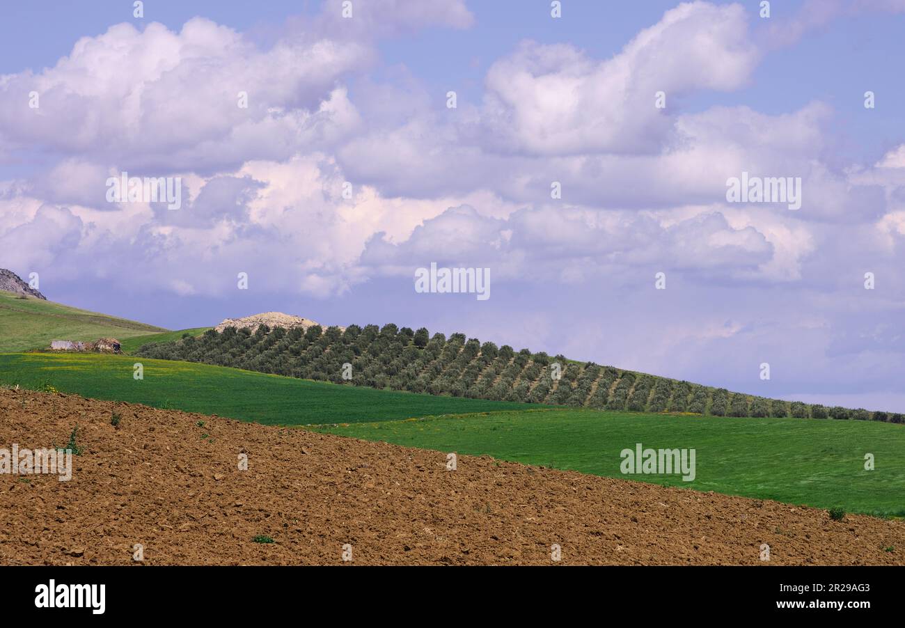 Acquerello cielo nuvoloso sopra i campi di patchwork nel paesaggio di campagna della Sicilia, Italia Foto Stock