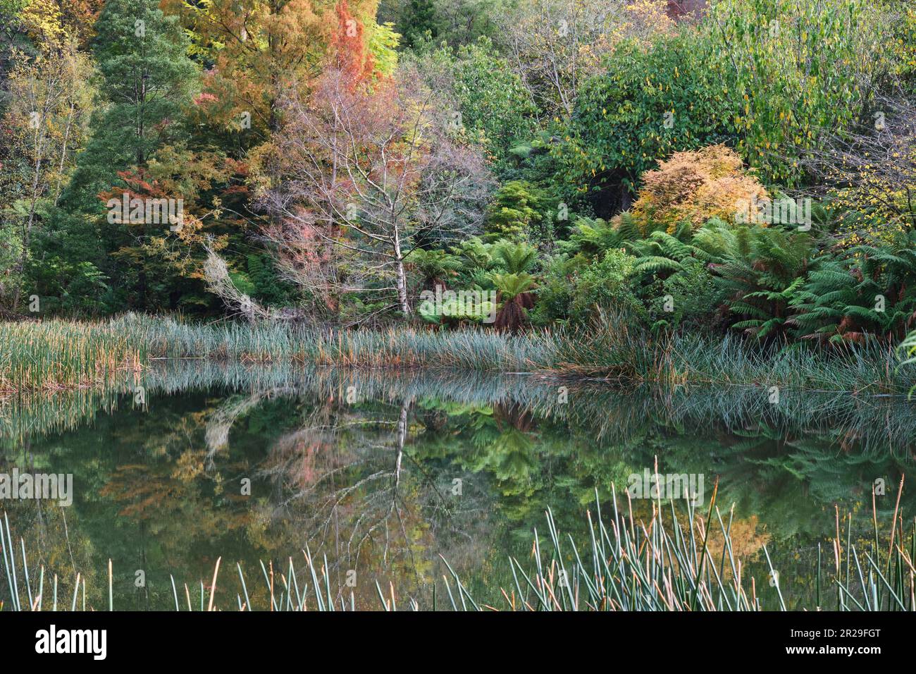 Il lago Foto Stock