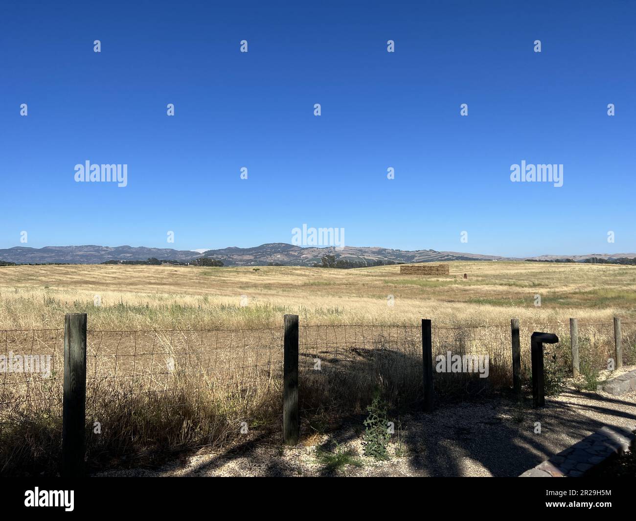 Stati Uniti. 25th giugno, 2022. I campi sono visibili accanto a una recinzione nella regione di Carneros, Napa, California, 25 giugno 2022. (Foto di Smith Collection/Gado/Sipa USA) Credit: Sipa USA/Alamy Live News Foto Stock