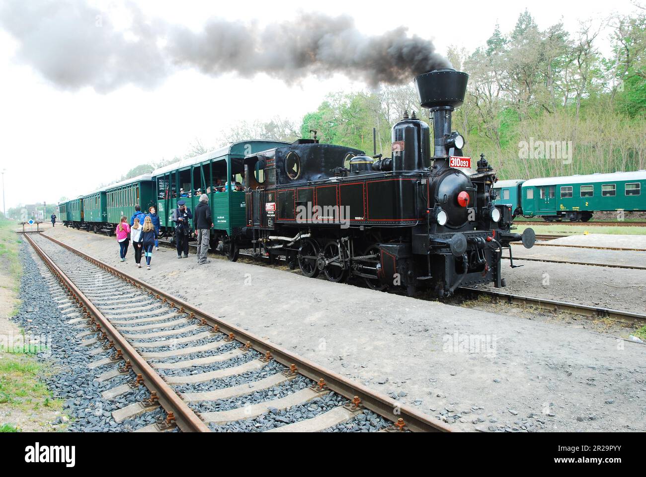 Storica locomotiva a vapore CSD 310,093, nick name 'Kafemlejnek' = macinacaffè alla stazione ferroviaria di Luzna vicino a Rakovnik durante il fine settimana di azione vapore Foto Stock