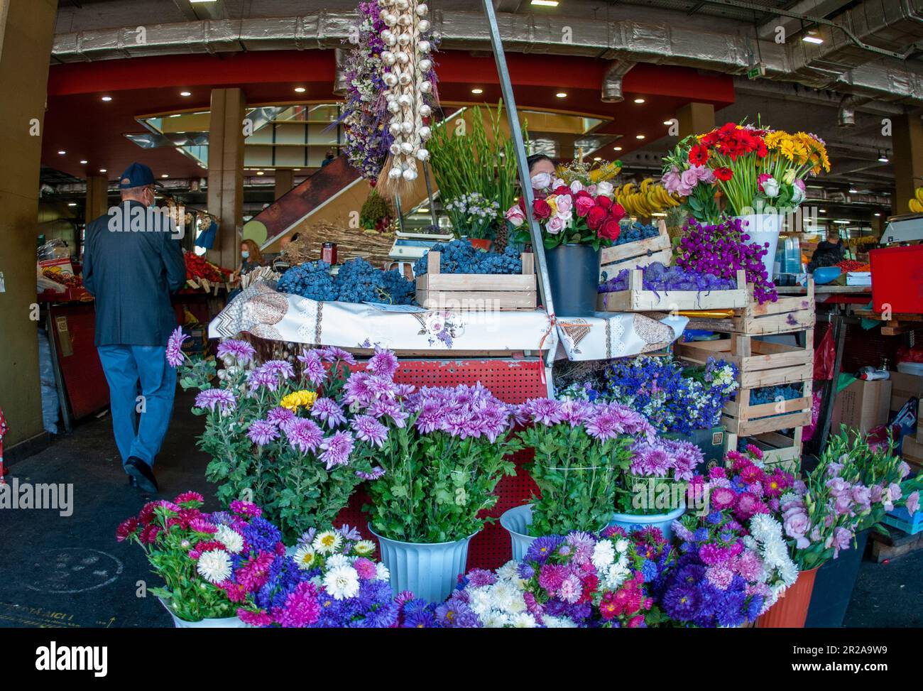 16 aprile -2023- Bucarest Romania Piata Obor- piastrelle con fiori colorati posti sul terreno per essere venduti con spazi tra loro per i clienti a wa Foto Stock