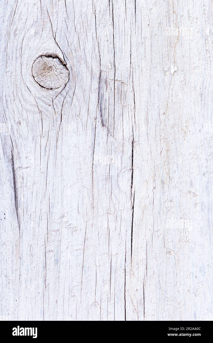 Asse di legno bianco con venature e nodi che la texture. Ideale per qualsiasi tipo di design o struttura. Foto Stock