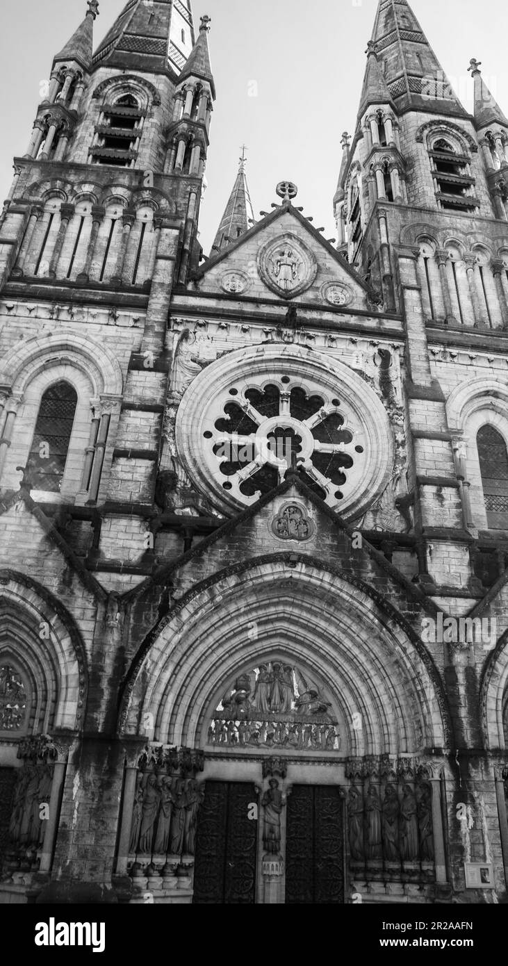 La facciata della cattedrale anglicana di Saint fin barre a Cork, Irlanda. Immagine in bianco e nero. Monocromatico. Foto Stock