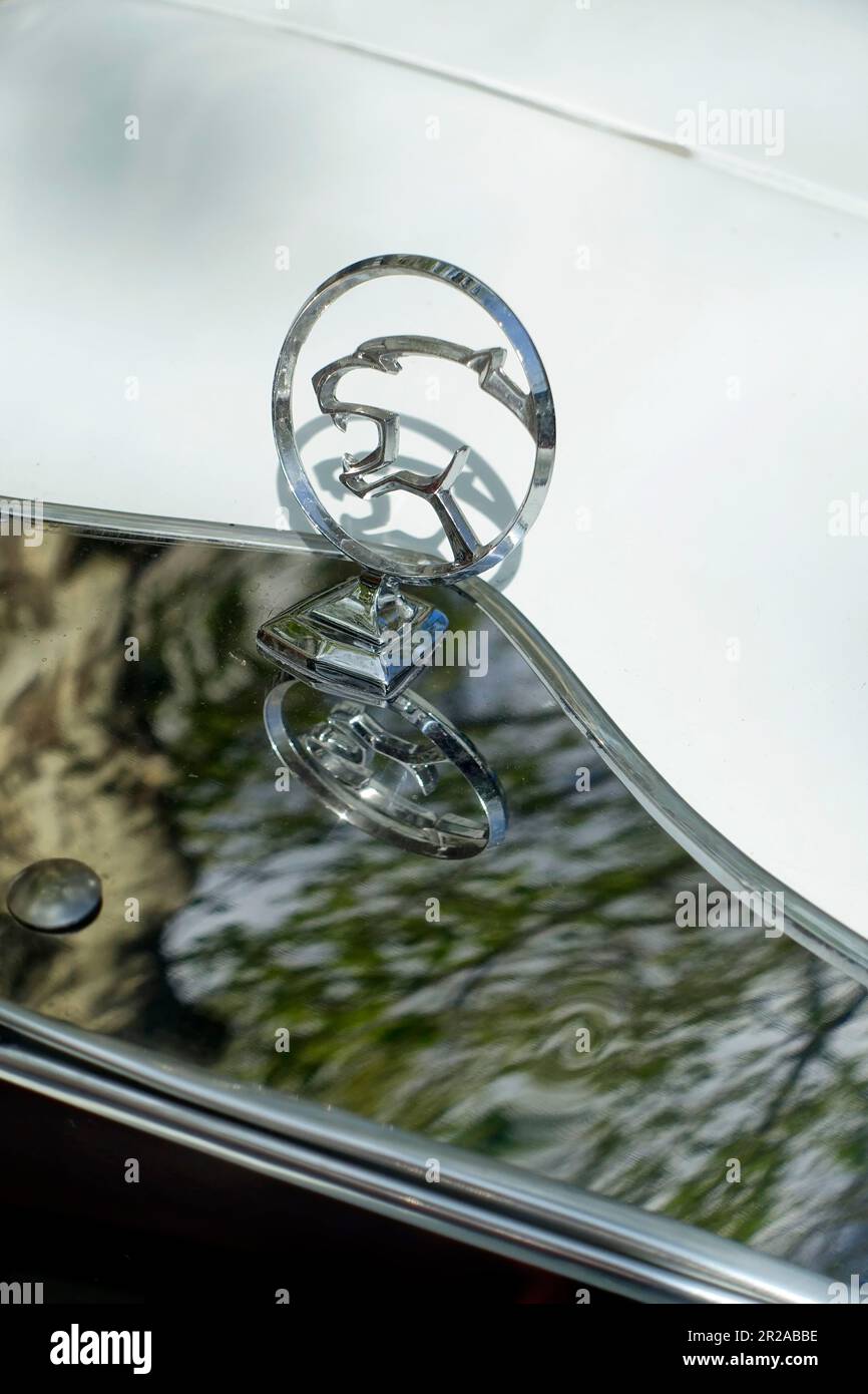 Jaguar, Classic Days 2023, Berlino, Germania Foto Stock