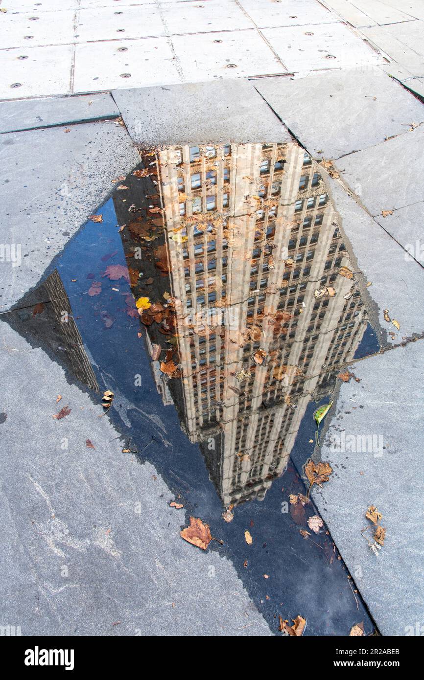 Vista ravvicinata di una piccola pozza d'acqua con alcune foglie sparse sul marciapiede di New York City, NY, USA, con riflesso dell'architetto tradizionale Foto Stock