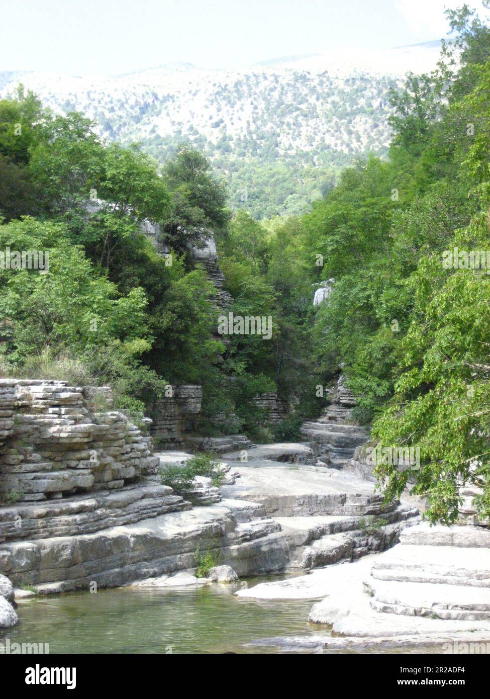 Piscine naturali tra le fondamenta della Grecia montuosa in estate Foto Stock